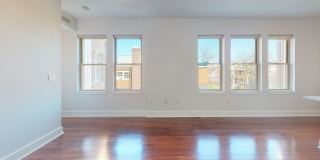 Columbia Heights Bright & Sunny One Bedroom W/Washer/Dryer In Unit, Roof Top, Pets Welcomed! Gallery 10