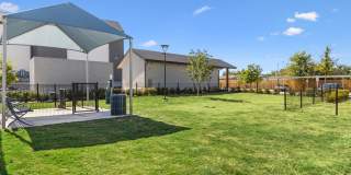 Bluestem at Loyola Gallery 29