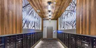 Vintage Lake Mary Apartments Gallery 8