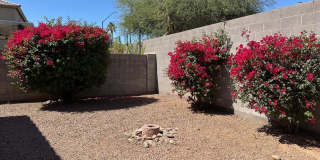 1814 S 114th Drive Gallery 11
