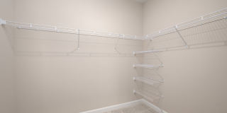 The Canopy Gallery 22