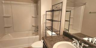 8609 Bucklebury Dr Gallery 15