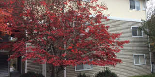 Chapel Hill / 4BR Univ Comm FURNISHED Condo Gallery 1