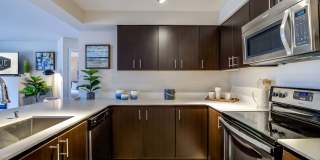 Vue Issaquah Gallery 5