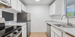 Shannon South Gallery 2