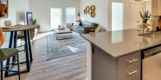 Cypress Gallery 2