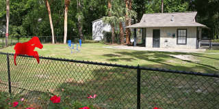 Prosper Azalea City Gallery 14