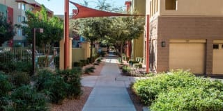 Shade at Desert Ridge Gallery 18