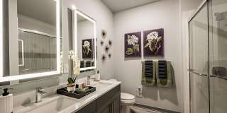 The Aston at Town Center Gallery 22