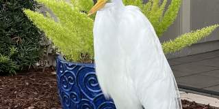 6180 Sun Boulevard Gallery 1