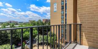 Whitestone at Landmark Gallery 54