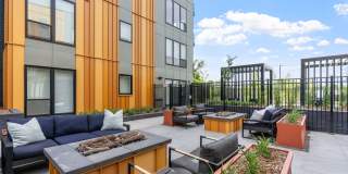 The Fox & The Grouse Gallery 81