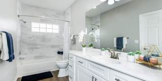 Registry at Windsor Parke Gallery 52