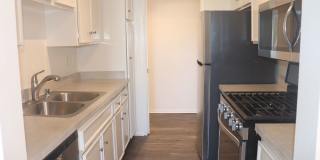 Hillside Terrace Gallery 115