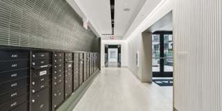 The Devan Gallery 26