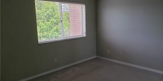 17506 Cherry Ridge Lane Gallery 20
