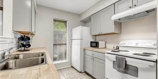 1520 Hawk Tree Drive Gallery 8