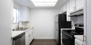 The Pacific at Mission Bay Gallery 19