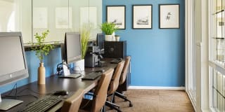 The Madrid Gallery 12