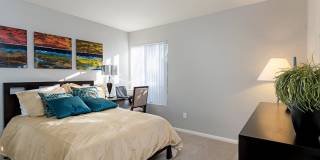 The Casas Gallery 16