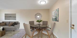 Shamrock Court Gallery 2