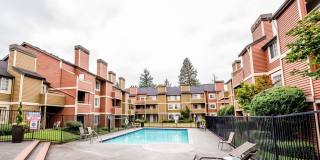 The Lucent Gallery 24