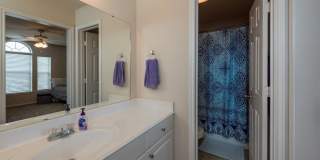 AUGUST PRE-LEASE Beautiful 3 Bed, 3.5 Bath Minutes from Campus! Gallery 3