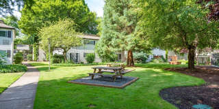 Aspire Eugene Gallery 2