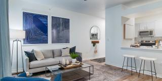 Legacy Estates at Frisco Gallery 12