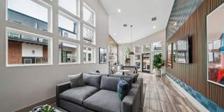 ReNew Pinehurst Gallery 24