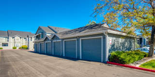 Bristle Pointe Gallery 8