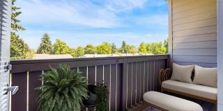 Spring Woods Gallery 8