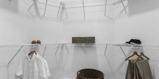 Arabelle Clearwater Gallery 50