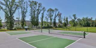 The Aster Gallery 30