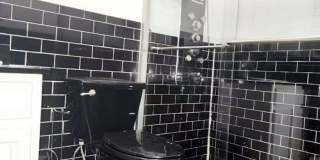 Spacious 2BR in Brooklyn (Bed Stuy) Gallery 9