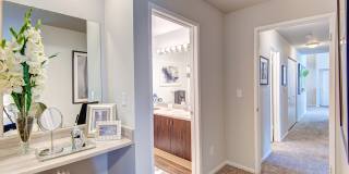 Signature Pointe Gallery 21