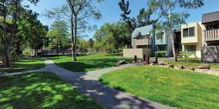 Laurel Crossing Apartment Homes Gallery 15