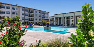 Active Adult- Ivy Point Cypress Active Adult- Ivy Point Cypress Gallery 30