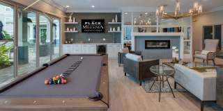 Place on Millenia Gallery 10