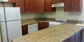 70 Egmont St. Gallery 1