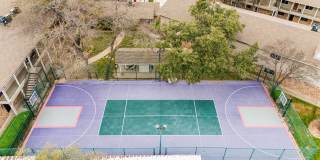 Juniper Springs Gallery 7