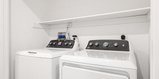 6 Edgewood Street Gallery 20