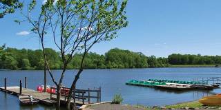 Twin Terrace Gallery 9