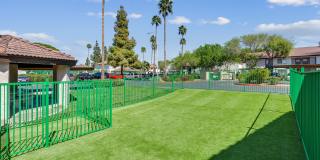 Solara Apartments Gallery 31