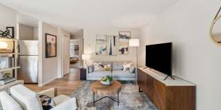 Sofi Lakeside Gallery 5
