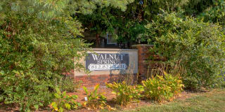 Walnut Springs Apartments Gallery 32