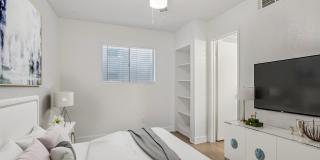 Aster on University Gallery 3