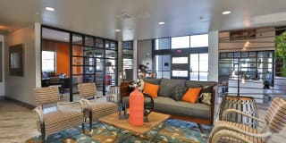 Olympus Steelyard Gallery 28