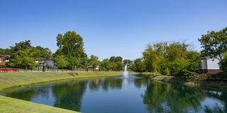 Parc 1346 Gallery 27