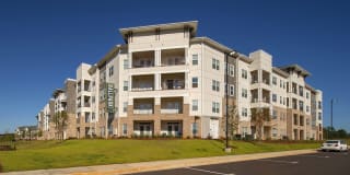 Ballpark Apartments @ Town Madison Gallery 14